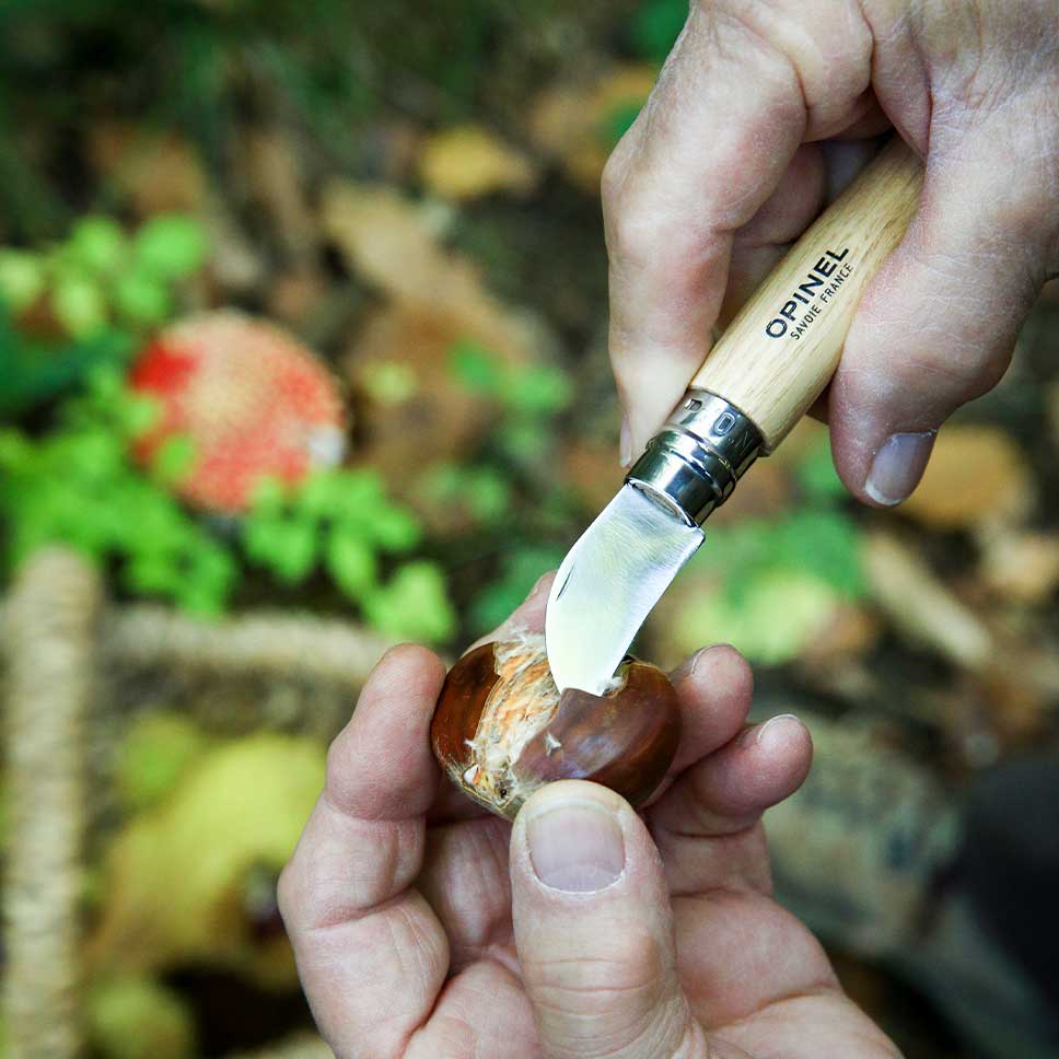 Opinel - Couteau à dénoyauter, ail, chataigne  n°7