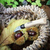 Opinel - Couteau à dénoyauter, ail, chataigne  n°7