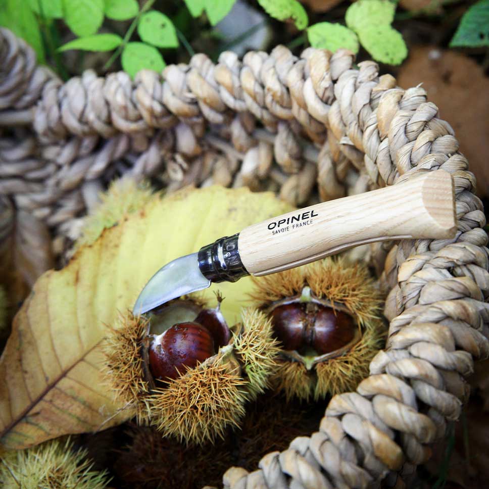 Opinel - Couteau à dénoyauter, ail, chataigne  n°7