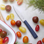 Opinel - Couteau cranté n°313