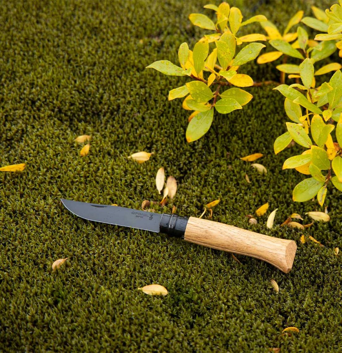 Opinel - Couteau n°8 chêne black
