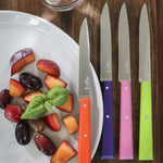 Set de 4 couteaux de table Opinel – manches en bois coloré pour une touche élégante et pratique à votre table.
