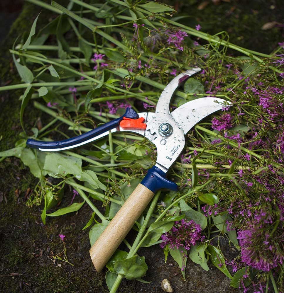 Opinel - sécateur