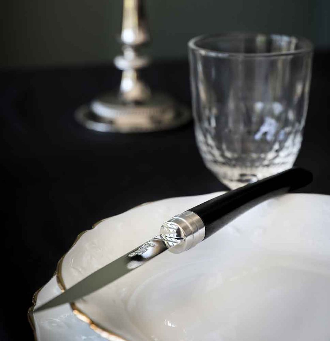 couteau de table opinel chic ébène sur une assiette