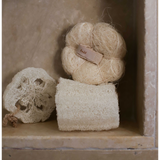 Tranche de Loofa
