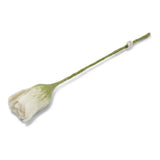 Fleurs 2026