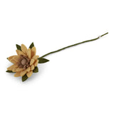 Fleurs 2026