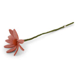 Fleurs 2026