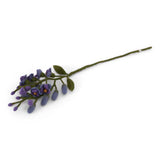 Fleurs 2026