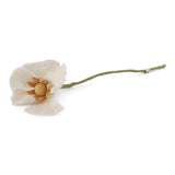 Fleurs 2026