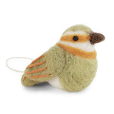 Oiseau Spinus