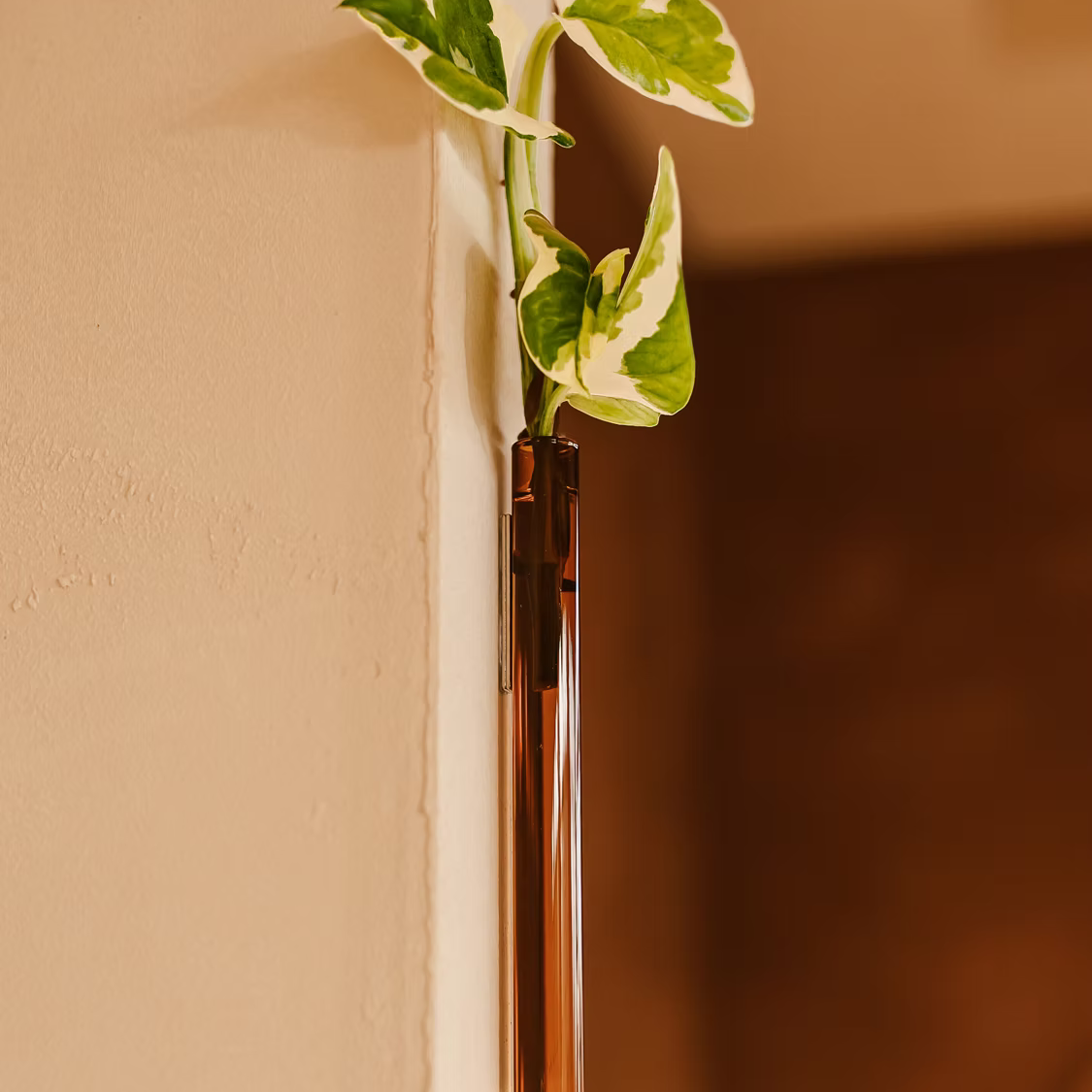 Walleaf - Vase magnétique (1 pack)