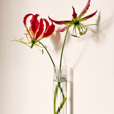 Walleaf XL - Vase magnétique (1 pack)