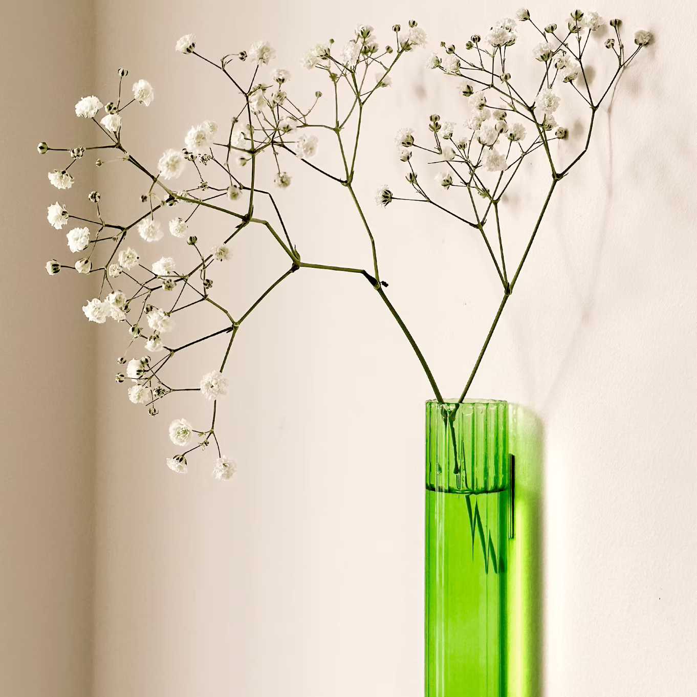 Walleaf XL - Vase magnétique (1 pack)