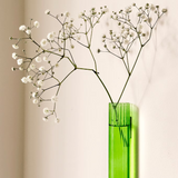 Walleaf XL - Vase magnétique (1 pack)