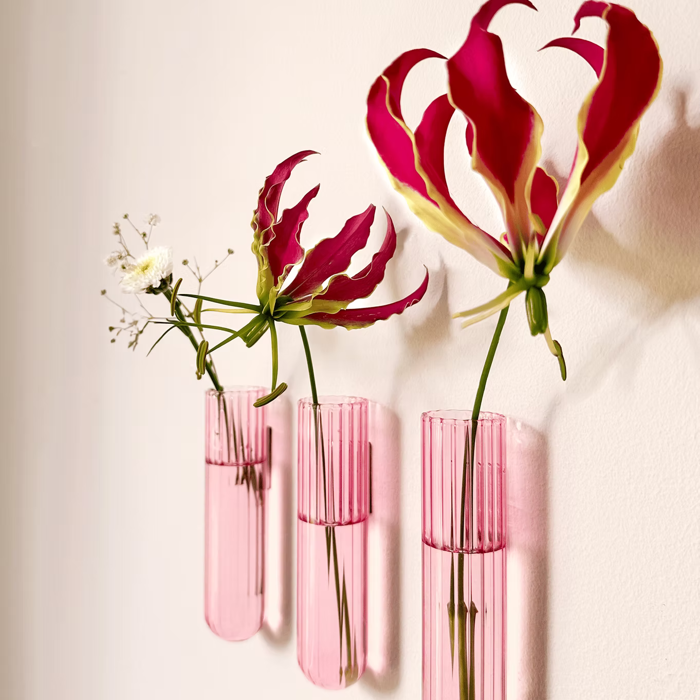 Walleaf XL - Vase magnétique (pack 3)
