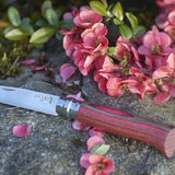 Couteau N°8 Bouleau Lamellé