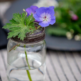 Décoration - vase en verre grillagé pour fleurs et plantes 