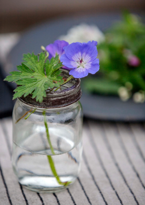 Décoration - vase en verre grillagé pour fleurs et plantes 