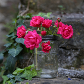 Décoration - vase en verre grillagé pour fleurs et plantes 