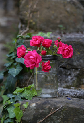 Décoration - vase en verre grillagé pour fleurs et plantes 