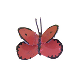 Papillon orange