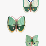 Set de 3 Fern striped butterflies