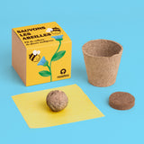 Sauvons les abeilles – Kit de culture de fleurs mellifères