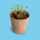 Sauvons les abeilles – Kit de culture de fleurs mellifères