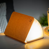 Lampe Smart Book