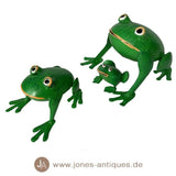 Grenouille fer verte