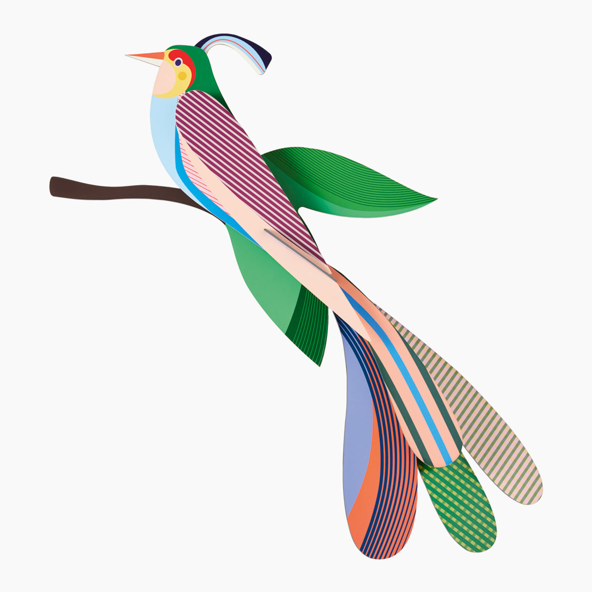 Paradise bird maya