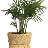 Cache pot en Raphia