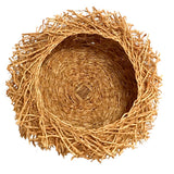 Nid en vetiver