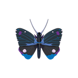 Blue Diadem Butterfly