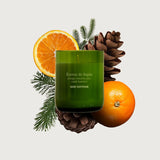 Bougie Ecorce de sapin