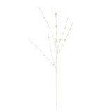 Branche papier et bouton blanc