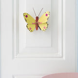 Luzerne Butterfly