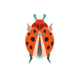 Coccinelle Rouge