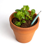 Crayon à planter