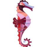 Coraline Seahorse