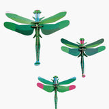 Set de 3 Dragonfly