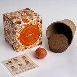 Kit d'autoculture - Dites le avec des fleurs