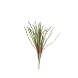 Herbe verte