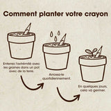 Crayon à planter