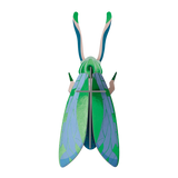 Jade Grasshopper