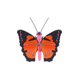 Large Fox Butterfly