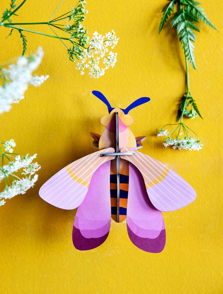 Pink Bee - Abeille rose Studio roof