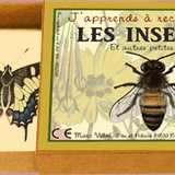 J'apprends les insectes