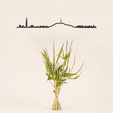 Skyline Séoul